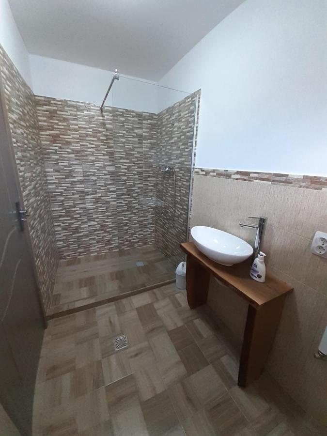 Penzion Casa Pandrea Cîrţişoara Exteriér fotografie
