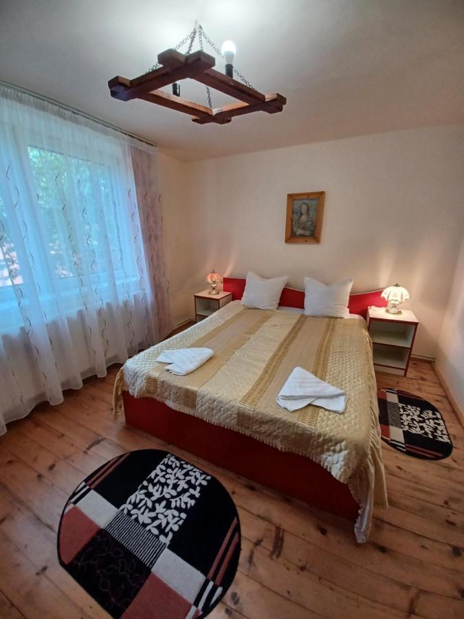 Penzion Casa Pandrea Cîrţişoara Exteriér fotografie