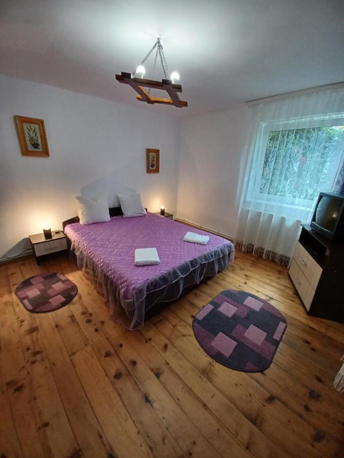 Penzion Casa Pandrea Cîrţişoara Exteriér fotografie