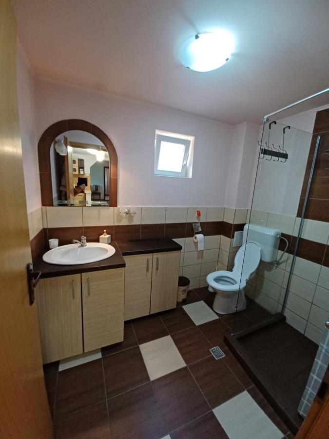 Penzion Casa Pandrea Cîrţişoara Exteriér fotografie