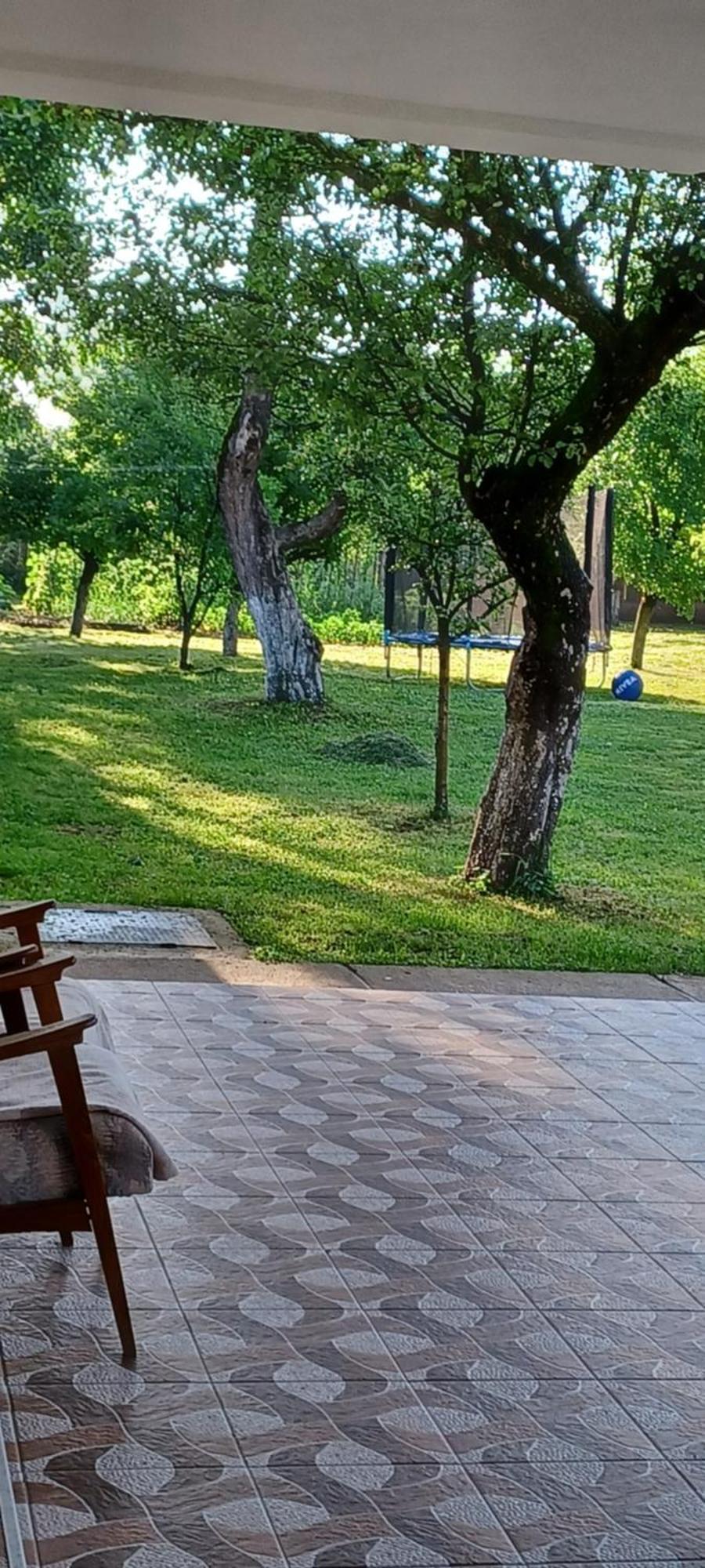 Penzion Casa Pandrea Cîrţişoara Exteriér fotografie