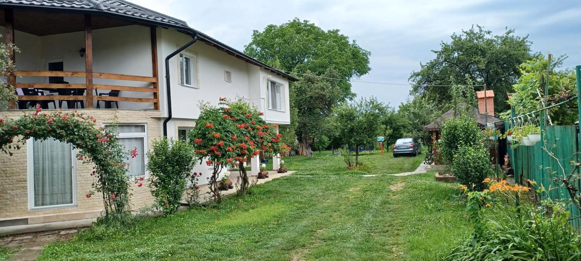 Penzion Casa Pandrea Cîrţişoara Exteriér fotografie