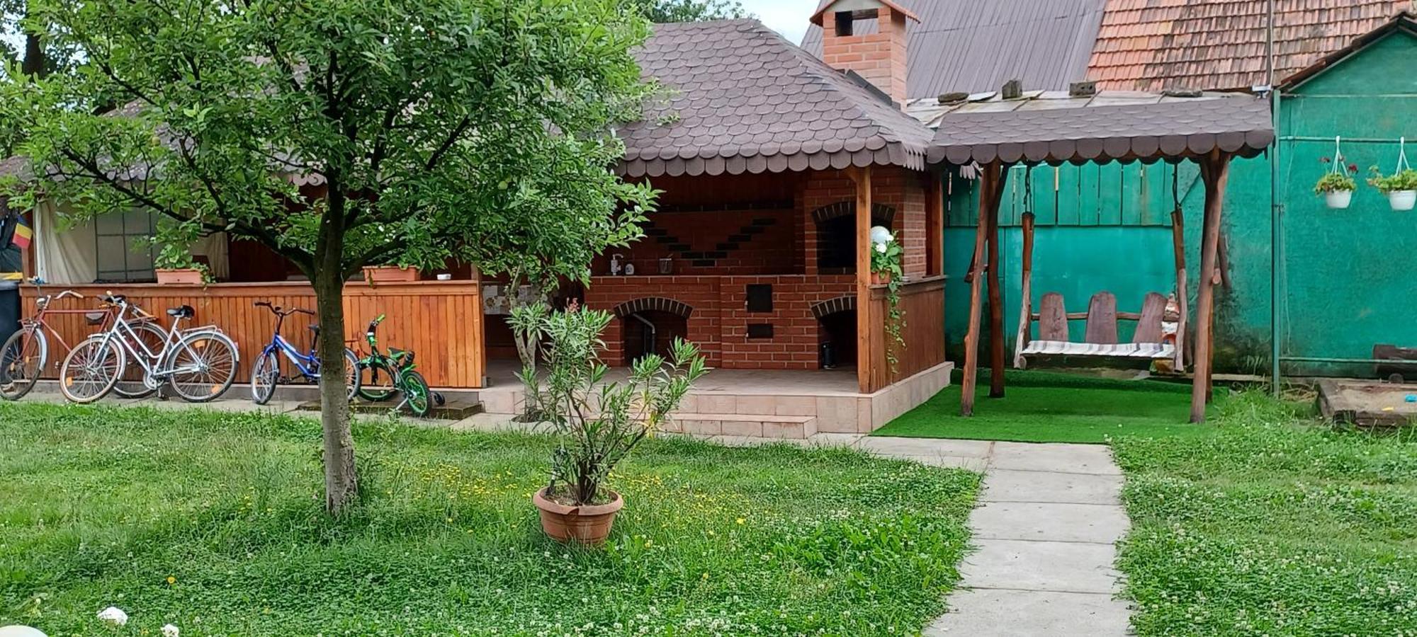 Penzion Casa Pandrea Cîrţişoara Exteriér fotografie
