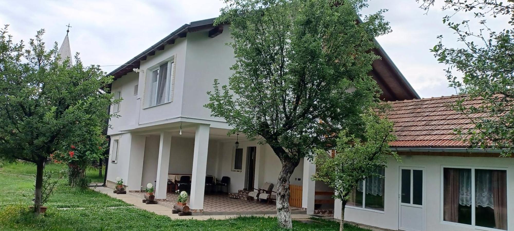 Penzion Casa Pandrea Cîrţişoara Exteriér fotografie